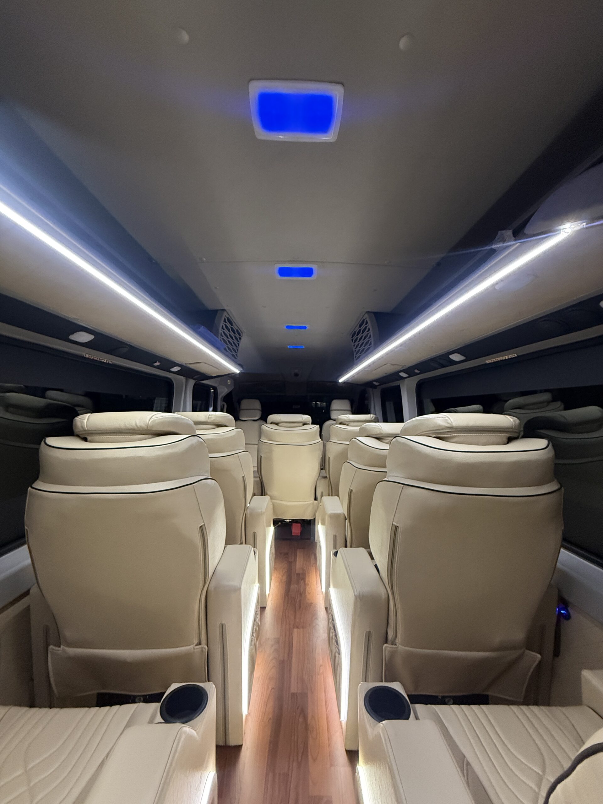 Luxury Maharaja Force Urbania Interior